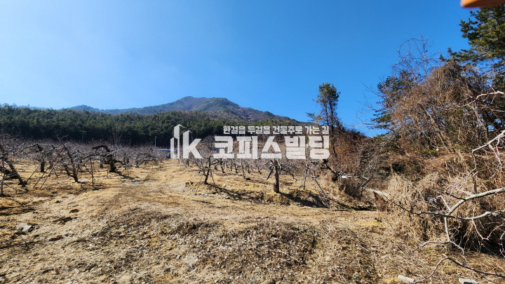 경북 영주시 풍기읍 창락리 영주사과 어떠세요? 과수원매매 매매 매물번호 11670 사진 2