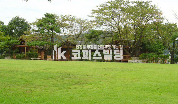 경기 김포시 대곶면 대벽리 김포대명포구앞 수련시설.요양원.요양병원.글램핑장 등등 매매 매물번호 10767 사진 2