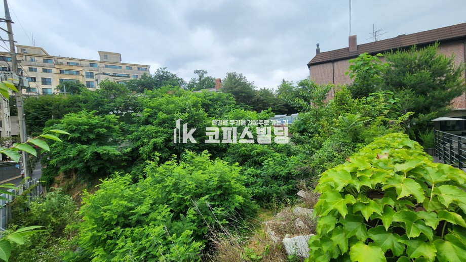 서울 서초구 방배동 서래마을. 동관단지 내 럭셔리하우스 신축부지 매매 매물번호 11380 사진 3